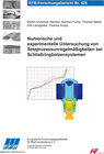 Buchcover Numerische und experimentelle Untersuchung von Setzprozessunregelmäßigkeiten bei Schließringbolzensystemen