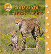 Buchcover Geparde